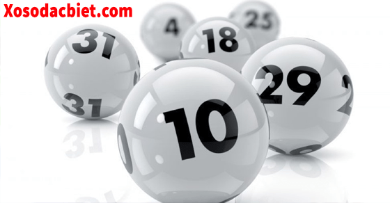 Cách nuôi lô khung 2 ngày miễn phí chuẩn xác nhất Cách nuôi lô khung 2 ngày miễn phí chuẩn xác nhất