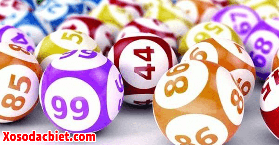 Cách nuôi lô khung 7 ngày hiệu quả nhất