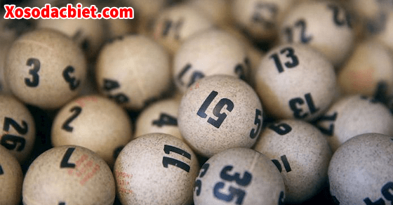 Lô khung nuôi 3 ngày có gì hấp dẫn 