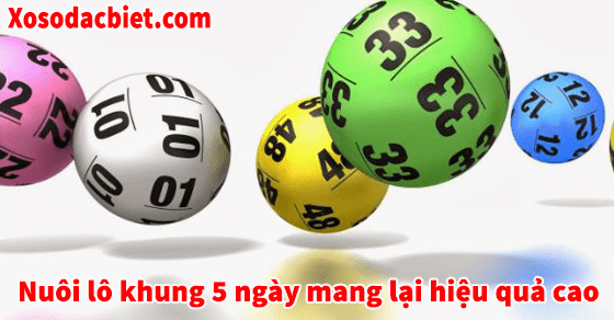 Lấy số nuôi lô khung 5 ngày theo phương pháp bạc nhớ mang lại hiệu quả cao